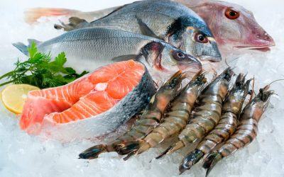 where must fish be stored_